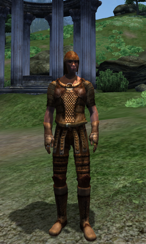 File:Pit Armor.png