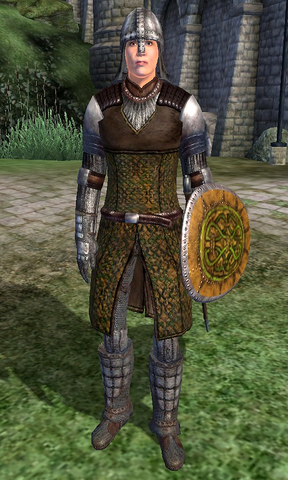 File:Cheydinhal Soldier.png