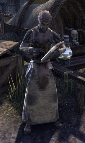 File:Gals Fendyn.png