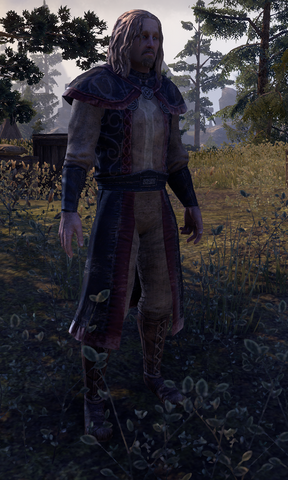 File:Thulvald Axe-Head.png