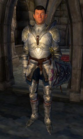 File:Battlehorn Castellan.png