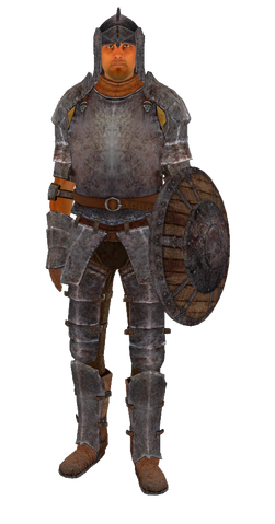 File:IronArmor.png