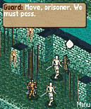Oblivion-mobile-01.gif