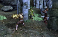 Nothing you can Possess Fight