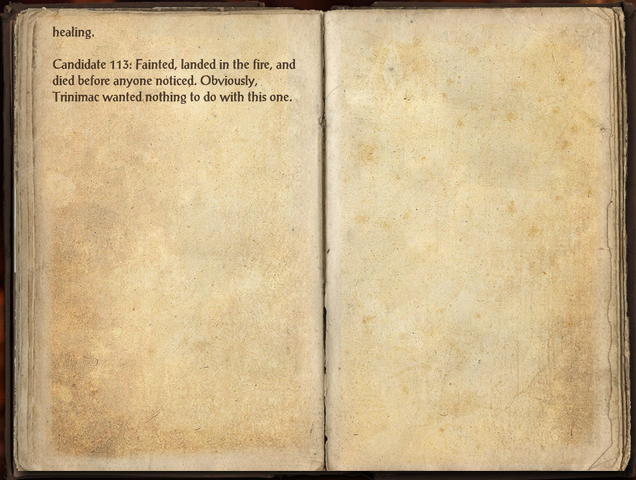 File:Application of Flame 2.png