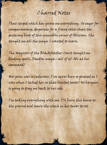 File:Charred Notes.png