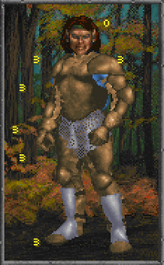 Daggerfall Leather Armour