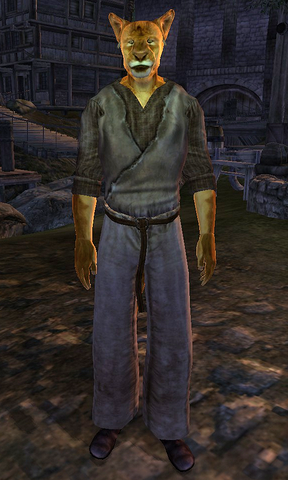 File:Dro'shanji.png