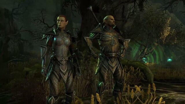 File:High Elves (Online).jpg
