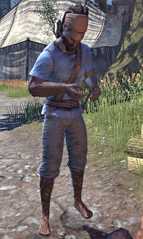File:Kalorter.png