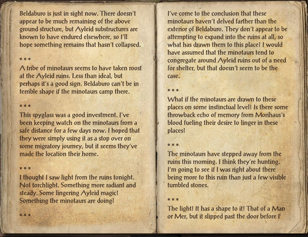 File:Solus Vertilus's Journal 1.png