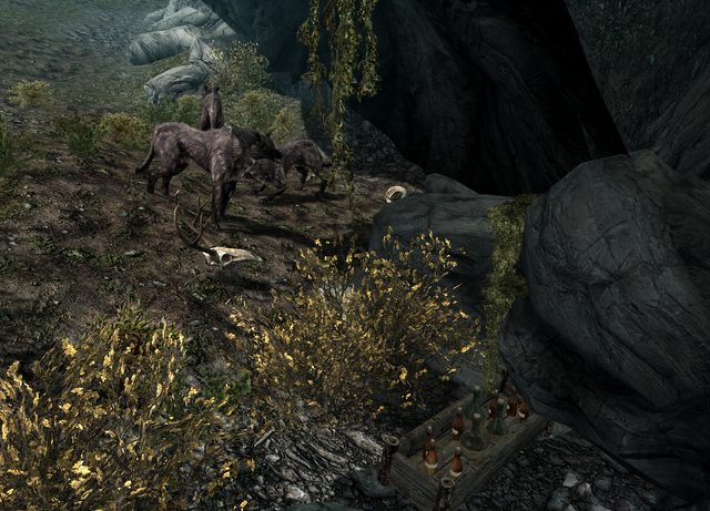 File:DragonBreathMeadStash.png