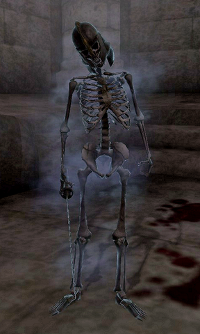 File:Skeleton of Casnar.png
