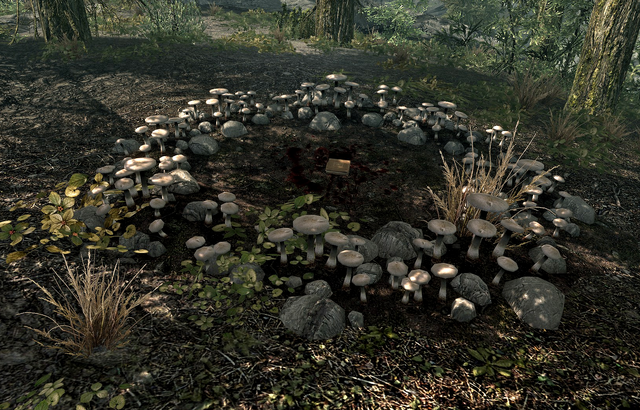 File:Fungi.png