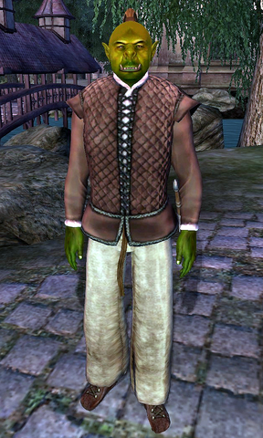 File:Dulfish gro-Orum.png