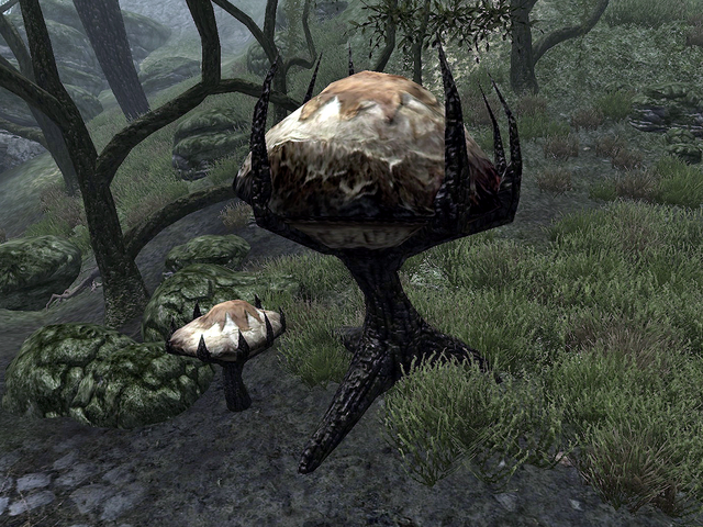 File:Mushroom Tree (Dementia).png