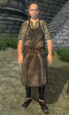 File:Niels (Oblivion).png