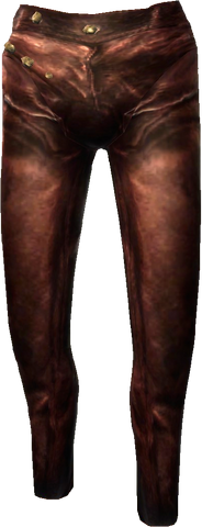 File:Enchanted Pants.png