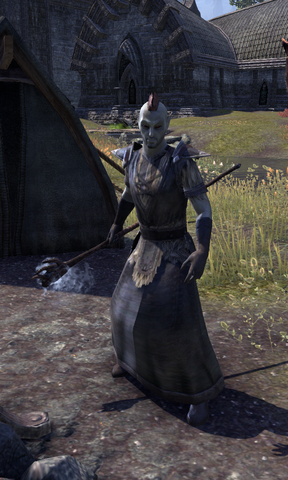 File:Maulborn Frost Mage.png