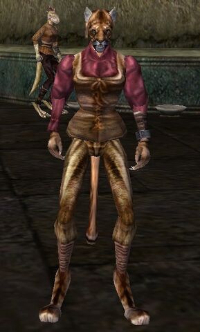 File:TES3 Morrowind - Character - Khamuzi.jpg