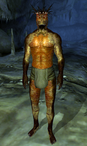 File:Argonian Tribesman.png