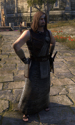 File:Capiton Sibylla.png