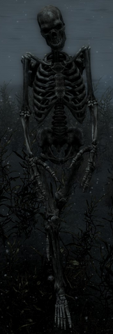 File:Skeggr.png
