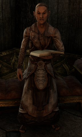 File:The Silvenar.png