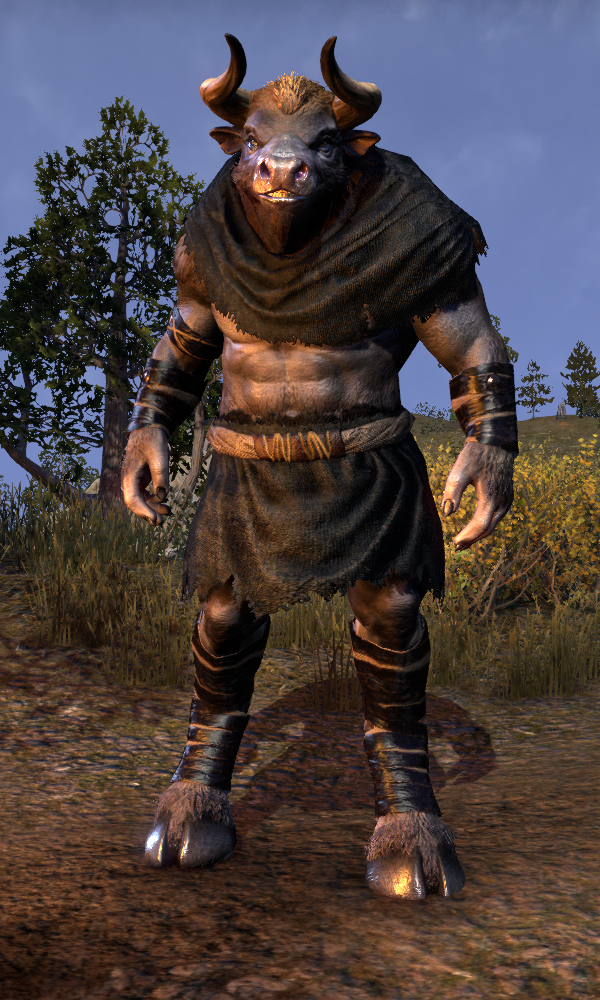 skyrim dark brotherhood quest mod skyrim dark brotherhood quest mod