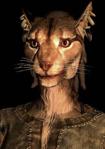 Dosya:SR-race-F-Khajiit.jpg