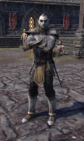 File:Fighters Guild Sentry.png