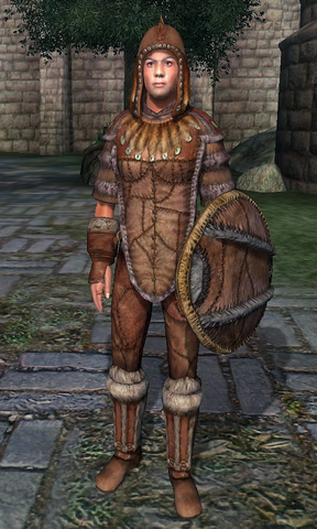 File:Fur Armor (Oblivion).png