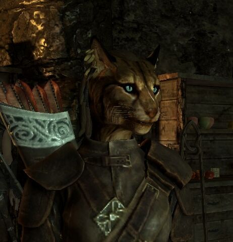 File:Skyrim kajit.jpg