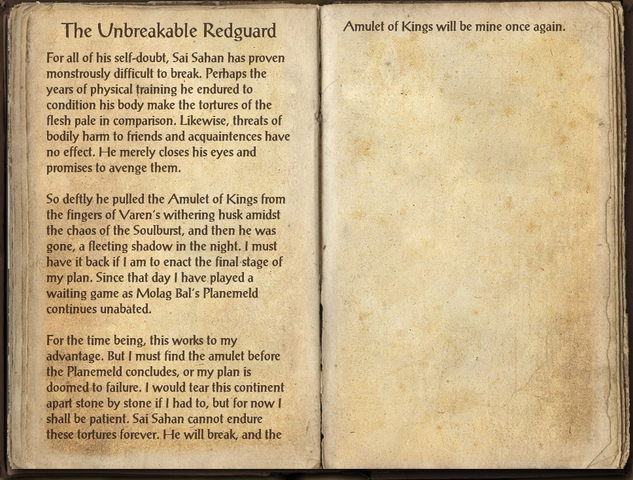 File:The Unbreakable Redguard.png