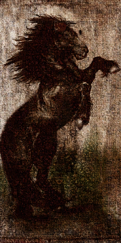 File:Steed art.png