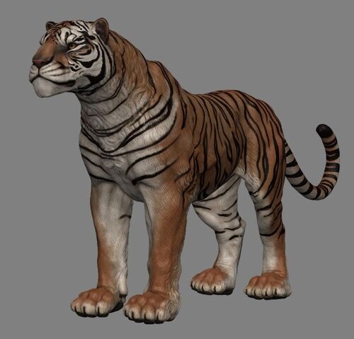 File:Senche-tiger (Online).jpg