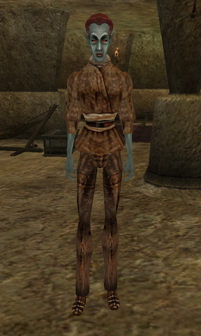 File:Haleneri Salor.png