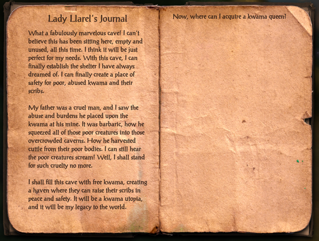 File:Lady Llarel's Journal.png