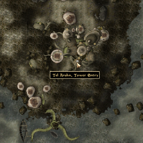File:Tel Arhun Tower Entry - Local Map - Morrowind.png