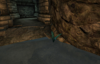 Bravil Wizard's Grotto Nirnroot