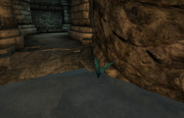 File:Bravil Wizard's Grotto Nirnroot.png