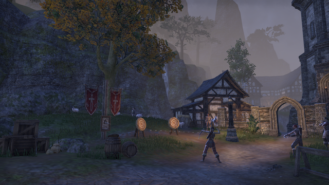 File:Crosswych Fighters Guild Training.png