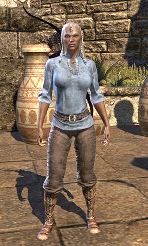 File:Servant's Robes Female.png