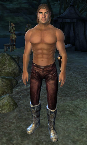 File:Mogens Wind-Shifter.png