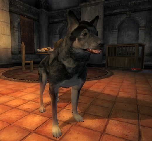 File:Rohssan's Dog.png
