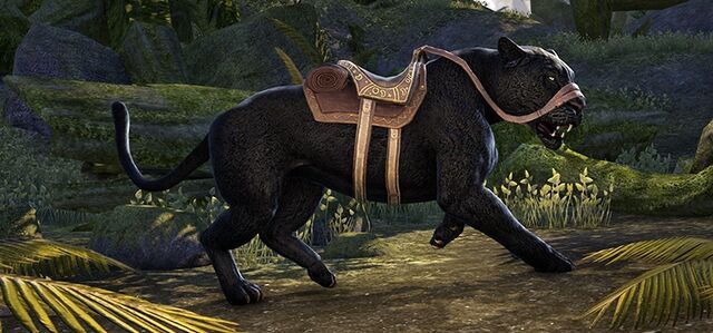 File:Black Senche-Panther.jpg