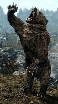 338px-BearRoar.jpg
