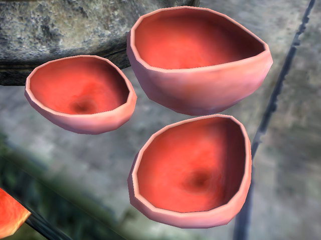 File:Elf Cup.png