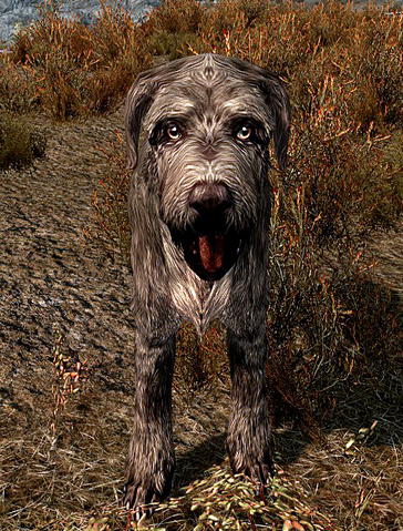 File:Barbas.png