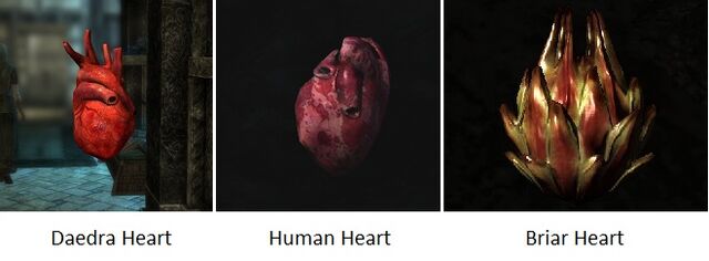 File:Hearts Skyrim.jpg